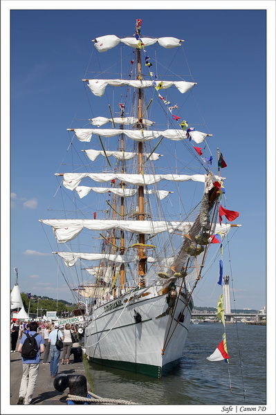 2013 - 06 - Armada Rouen 197